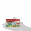 Celestial Seasonings Peppermint Tea, 20 Count (Pack of 6)