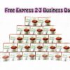 Gano Excel 20 Boxes O’Leaf Ganotea Rooibos Drink With Ganoderma