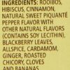 Celestial Seasonings Safari Spice Red Tea, 20 Count (Pack of 6)