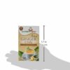 Nature’s Guru Instant Ginger Chai Unsweetened, 10-count (Pack of 1)